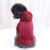 Autumn Winter Fashion Dog Hoodies With Pocket Small Dog Winter red