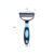Pet Hair Removal Combs Dual Use Dogs Cats Grooming Cleaning Tool Blue S