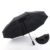 Double Layer Windproof Resistant Umbrella Black
